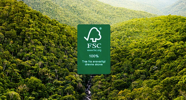 A importância do Selo FSC para o meio ambiente e as mudanças climáticas