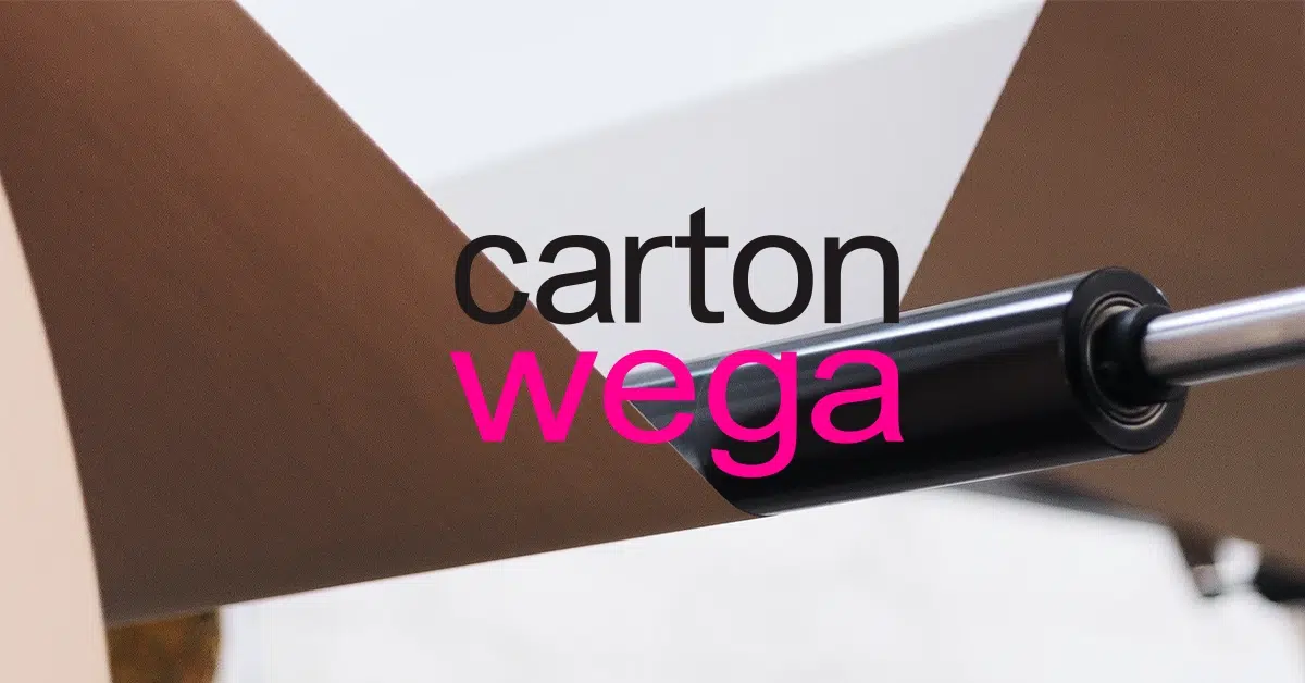 Carton Wega Industria de Embalagens Sa